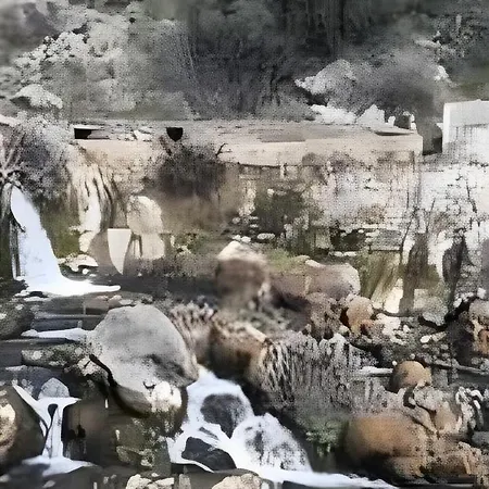 Casa *